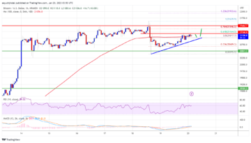 Bitcoin Price Bulls In Check, Signs of Fresh Increase above $21.5K