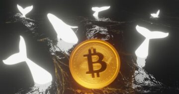 Bitcoin Whales are in Accumulation Mode