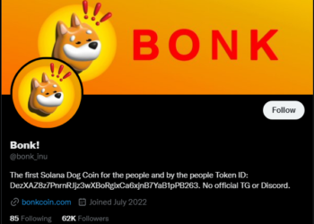 BONK Goes Bonkers With Over 200% Increase In Last 24 Hours – Will This Save Solana