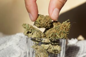 Полиция Боулдера расследует кражу марихуаны