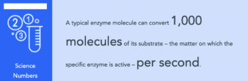 Betere enzymen bouwen - door ze af te breken