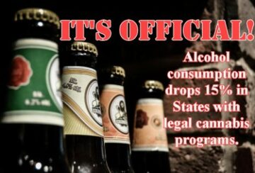 Kanada Bira Tüketimi Esrar Federal Olarak Yasallaştırıldığından beri Düşüyor