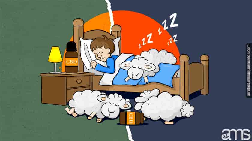 γυναίκα στο κρεβάτι κοιμάται με τρία πρόβατα δίπλα της