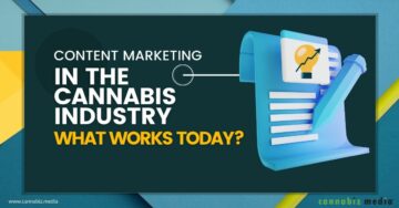 Content Marketing nell'industria della cannabis: cosa funziona oggi? | Media di cannabis