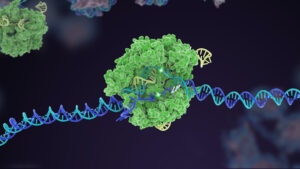 La primera década salvaje de CRISPR solo rasca la superficie de su potencial