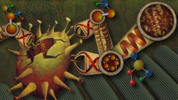 Instrumente de nanotehnologie ADN: de la proiectare la aplicații: oportunități și colaborări curente – Institutul Wyss – Universitatea Harvard