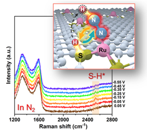 Dual-site collaboration boosts electrochemical nitrogen reduction on Ru-S-C single-atom catalyst