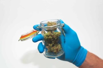 Erste US-Operation, Cannabis-Leitfaden veröffentlicht