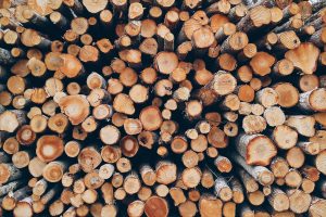 Saksamaa Salm-Salm sulges ülemaailmse puidufondi esialgselt 130 miljonit dollarit