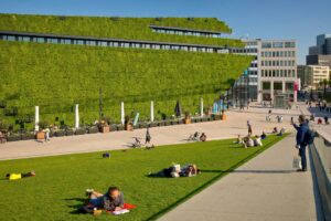 Article invité : Comment les solutions fondées sur la nature peuvent-elles aider les villes à atteindre leurs objectifs climatiques ?