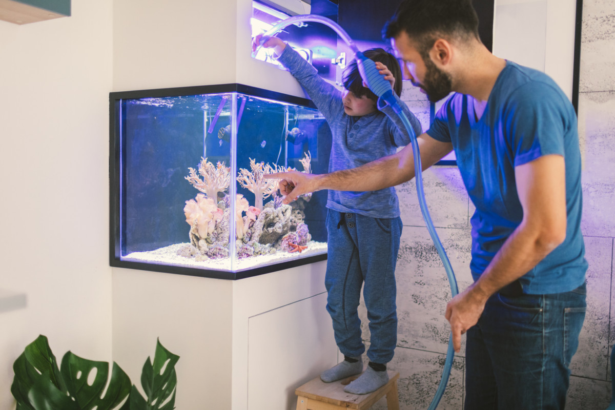 Famille nettoyant un aquarium récifal Getty