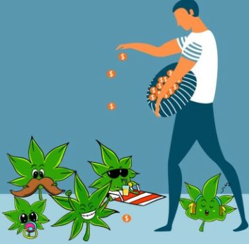 Kako kupiti semena marihuane v semenski banki, lokalni ali čezmorski!