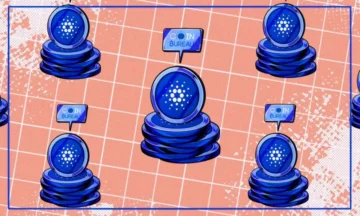 How to Choose a Cardano Staking Pool- Delegate Cardano