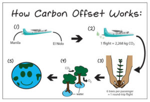 کاربن کریڈٹس کی تصدیق کیسے کریں۔