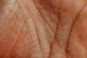 Ingenico uporablja Fujitsu Frontech za biometrično rešitev za žile na dlani