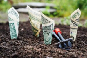 Investing 101: راهنمای ساده برای سرمایه گذاری پول!