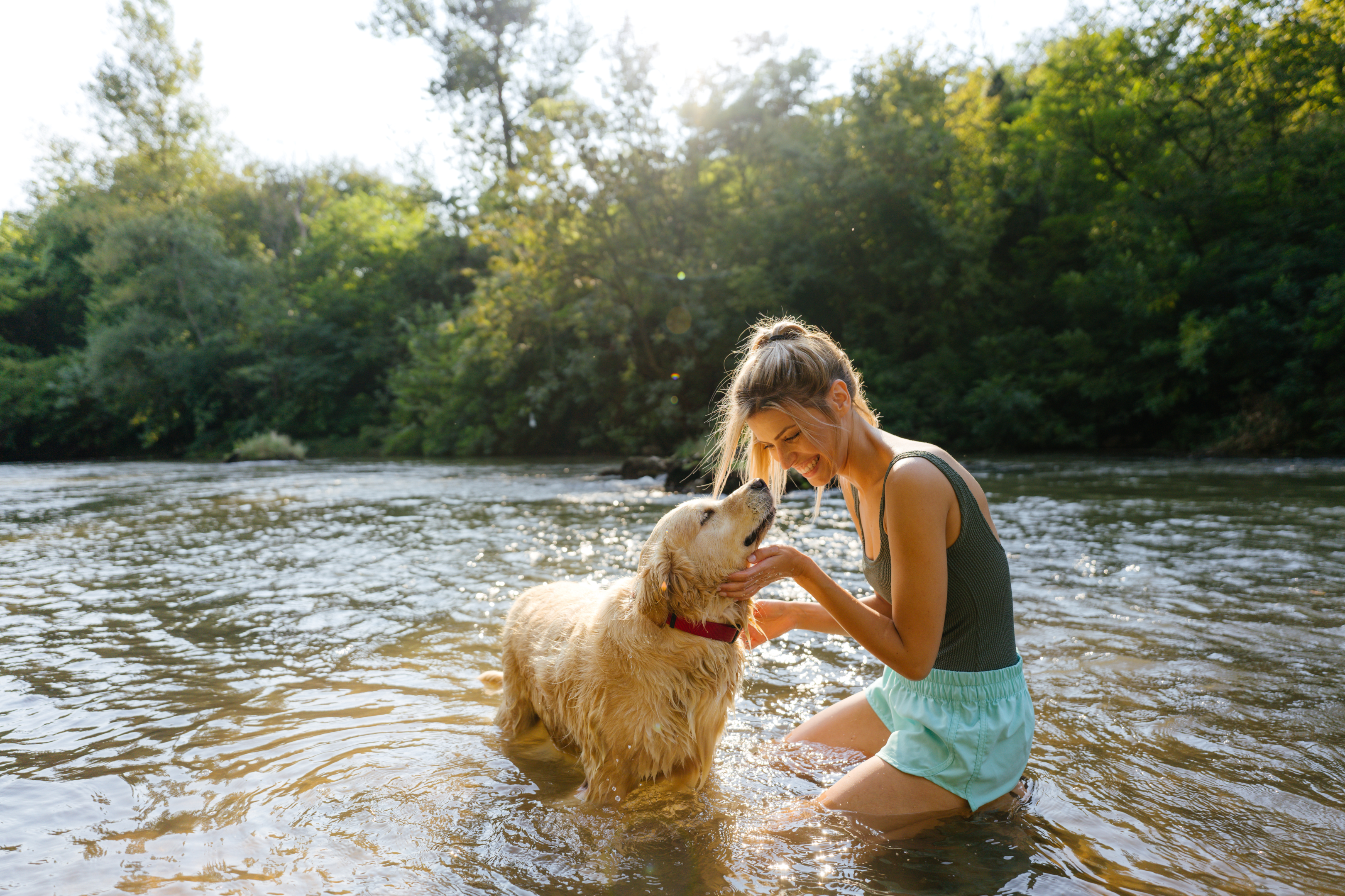笑顔の若い女性と彼女の犬が川で水しぶきを上げている
