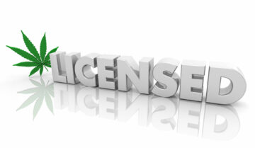 New York’s Adult-Use Cannabis License Application