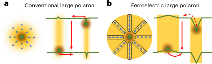 Wywołana przez fotonośnik trwała polaryzacja strukturalna w perowskitach halogenku ołowiu o miękkiej sieci