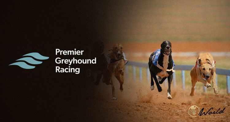 Premier Greyhound Racing rapporterer rettighedsaftaler med fire detailvæddemålsoperatører