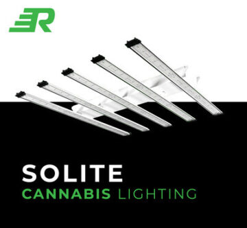RapidGrow LED debuterer SOLITE, det nyeste høyeffektive LED-lyset og programvaresystemet for cannabisdyrkere og -operatører