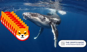 Shiba Inu nu mest omsatta token bland de 100 bästa ETH-valarna