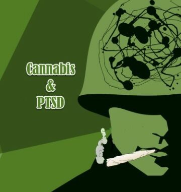 De nieuwste onderzoeken naar PTSS en cannabis - wat we nu weten