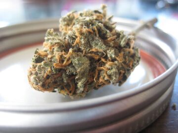 TN 立法者计划提出可以使某些大麻使用合法化的法案