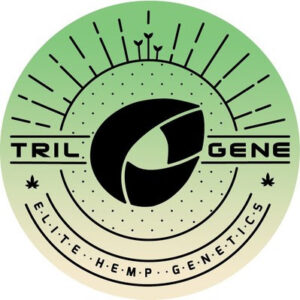 Trilogene Seeds accelera l'ibridazione della cannabis utilizzando il sequenziamento dei bersagli