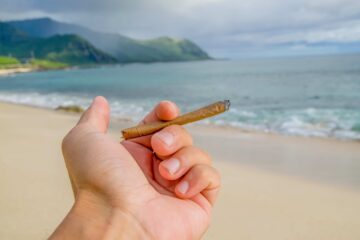 美属维尔京群岛立法者通过大麻合法化法案