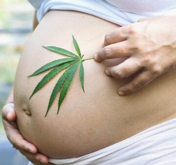 임신 중 의료용 마리화나 사용은 더 이상 아리조나에서 아동 학대로 간주되지 않습니다.