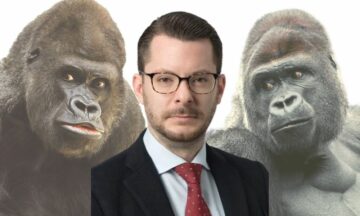 VC, mencari gorila teknologi, bersiap untuk IPO digital