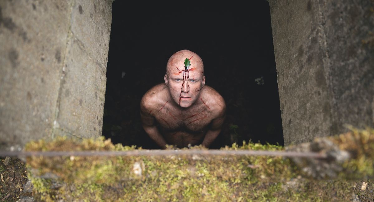 Rory Kinnear olha para cima de um buraco, nu, coberto de cortes ensanguentados e com uma folha na testa em Men.
