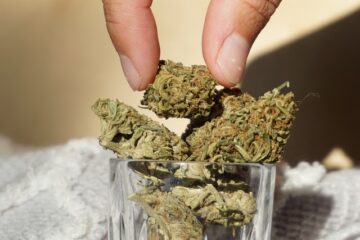Wetgevers in Virginia overwegen om de productwetten voor marihuana en hennep te actualiseren in de sessie van 2023