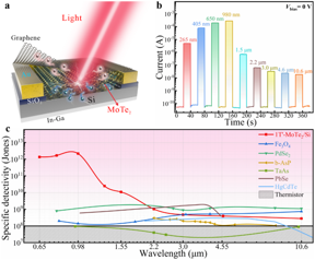 Wafer-scale 2D MoTe₂ layers enable highly-sensitive broadband integrated infrared detector