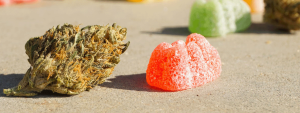 What Are Edibles? A Comprehensive Guide