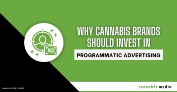 Pourquoi les marques de cannabis devraient investir dans la publicité programmatique | Cannabiz Media