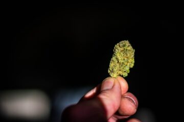 Why Simultaneous Use Of Marijuana & Alcohol During Pregnancy Is Risky, New Research Paper Explains