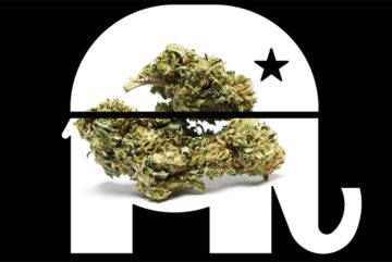Wisconsin Republicans Express Support for Legalizing Weed