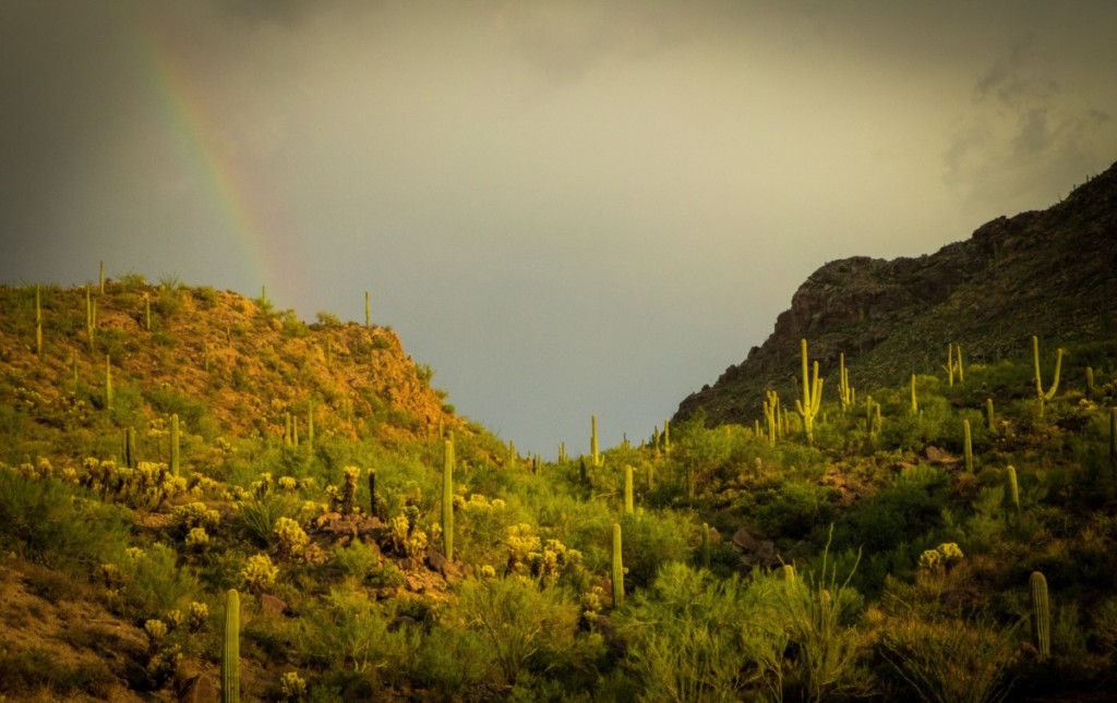 όμορφο ουράνιο τόξο και έρημο τοπίο στο Tucson