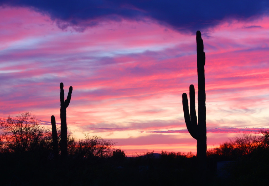 10 beaux endroits à Tucson Les habitants s'extasient sur