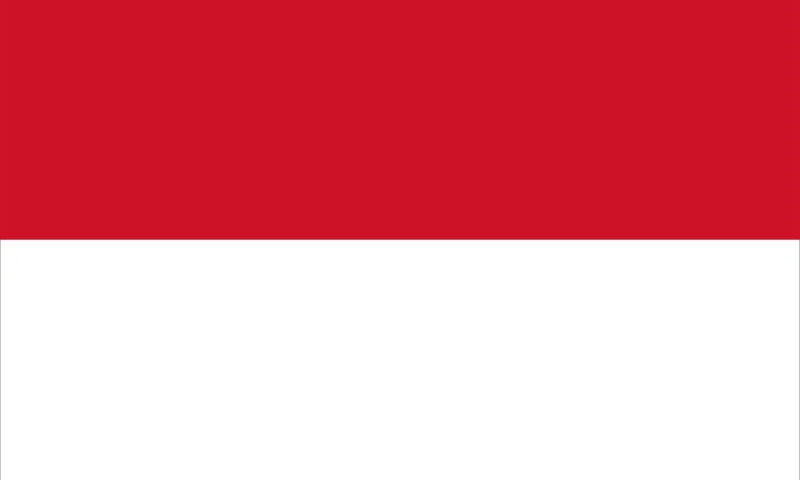 印度尼西亚——基于元界的公共服务