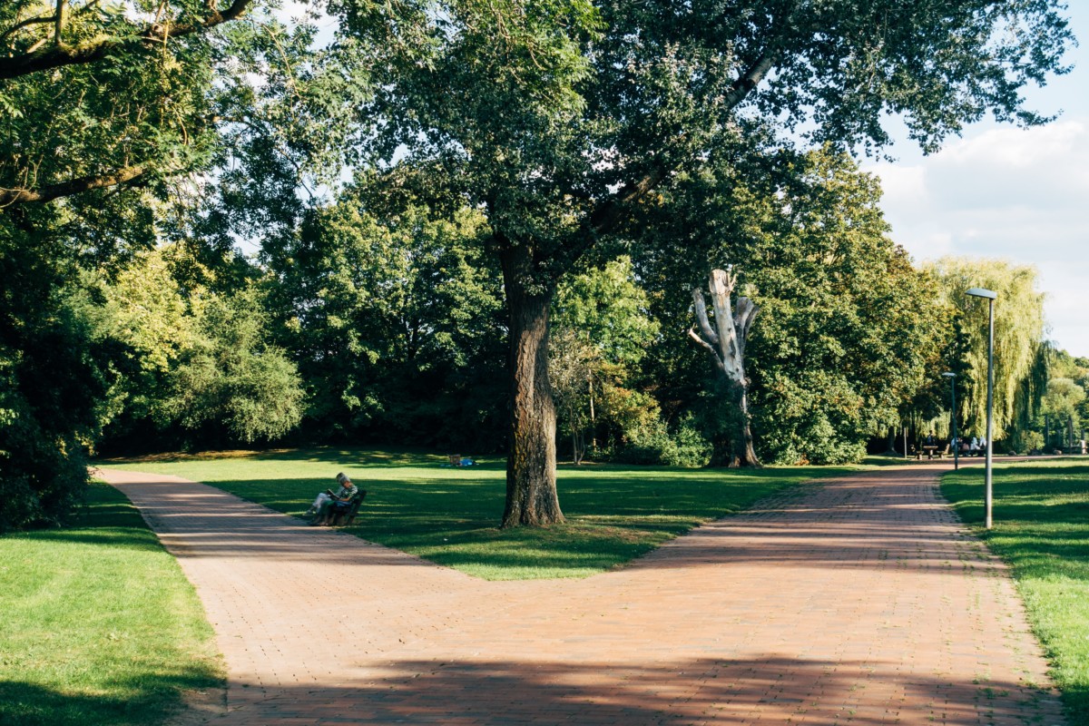 7 популярных парков в Норуолке, штат Коннектикут, которые любят местные жители