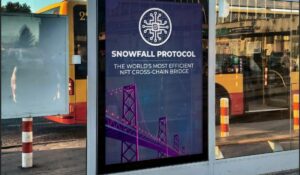 ApeCoin (APE) اور Axie Infinity (AXS) کے پیروکاروں کو لگتا ہے کہ Snowfall Protocol (SNW) ایک بہتر موقع ہے