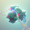 Artificial intelligence improves efficiency of genome editing