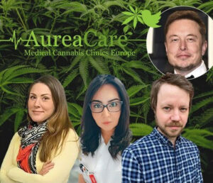Aureum Life：スウェーデンの大麻会社がTwitterで大麻を宣伝する世界初
