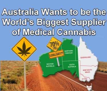 Austrália Legaliza Medicamentos Psicodélicos - Psilocibina e MDMA Aprovados para Tratamentos Médicos