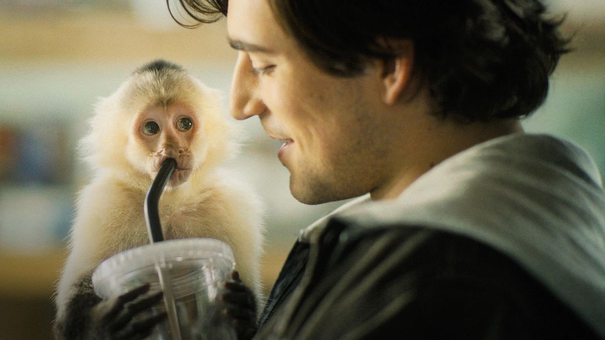 Un bărbat (Charlie Rowe) zâmbește în timp ce o maimuță albă se uită la el în timp ce bea din paiul băuturii sale.