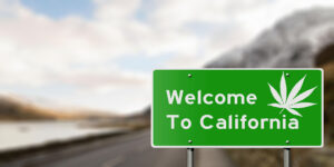 بوصات كاليفورنيا نحو اتفاقيات القنب المشتركة بين الولايات