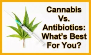 Cannabis and Antibiotics - What is the Deal, Can You Smoke Pot While Using Antibiotics?